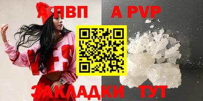 дмт Тара