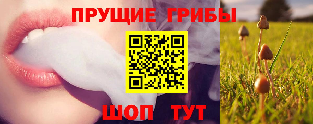 Миллерово  Псилоцибиновые грибы Magic Shrooms  Вход с VPN 