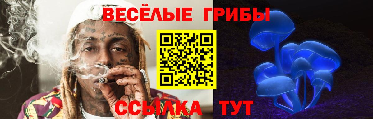 Галлюциногенные грибы Cubensis Миллерово